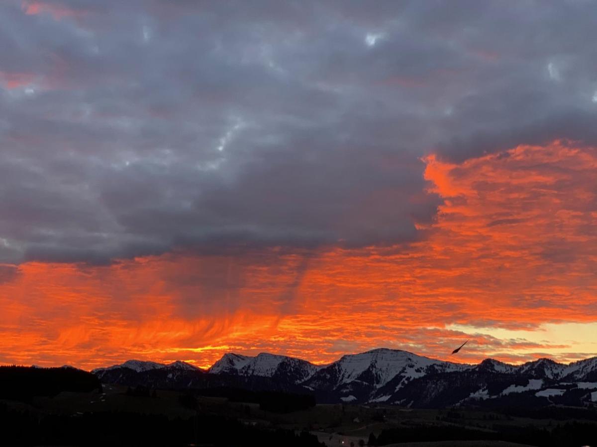 Panoramaapart - Alpzeit Im Westallgaeu Oberreute Exteriör bild