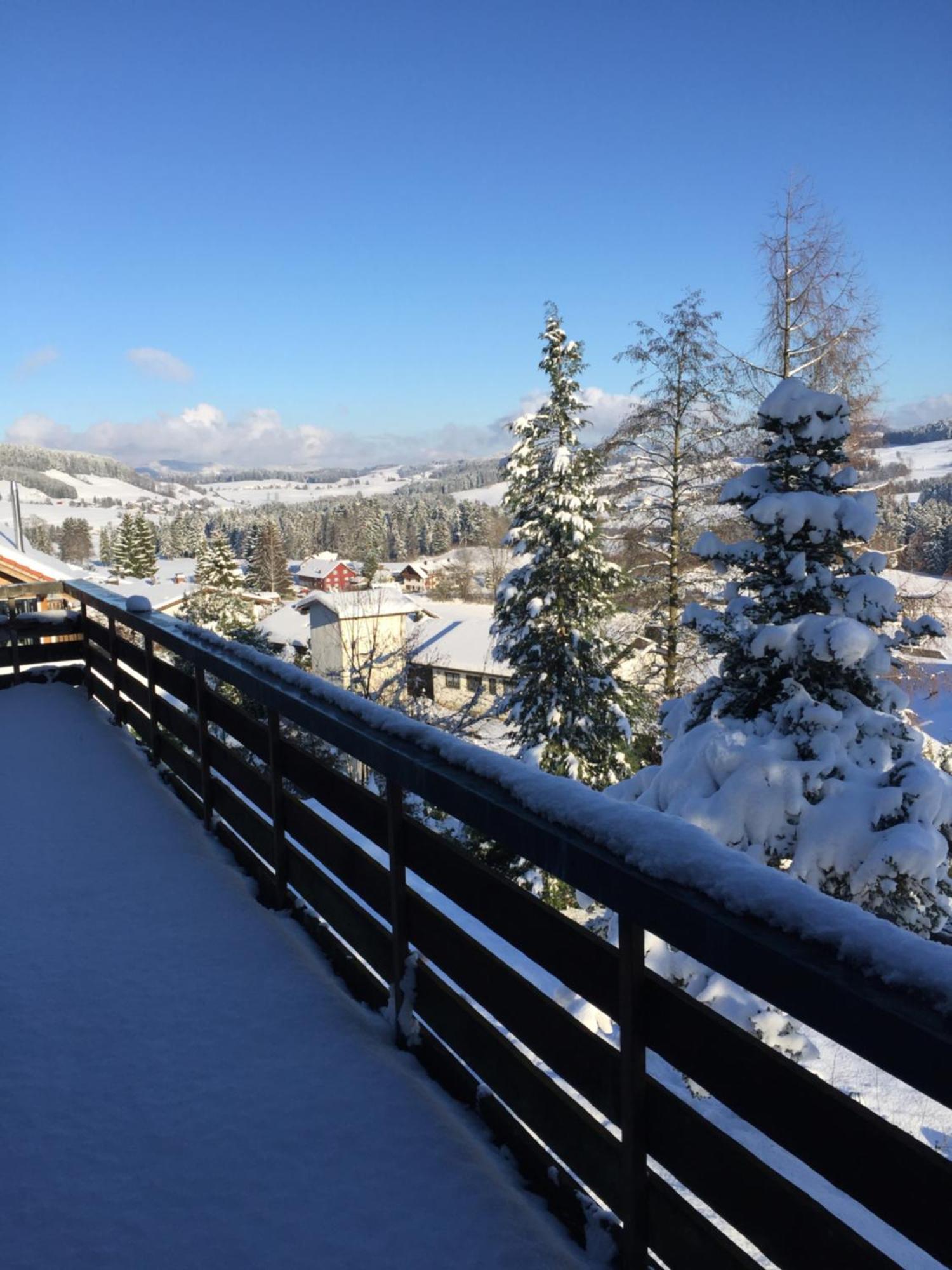 Panoramaapart - Alpzeit Im Westallgaeu Oberreute Exteriör bild